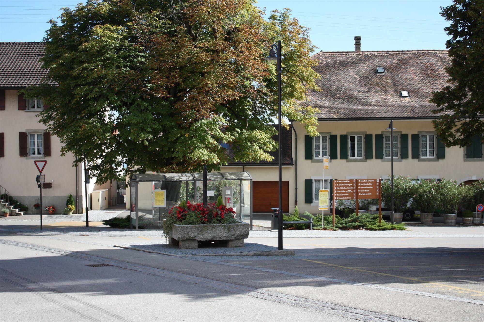 Auberge Communale A L'Union Gilly Exterior photo